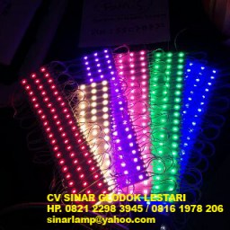 Lampu LED Module Warna